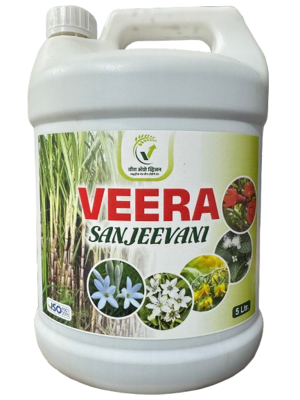 Veera Sanjeevani