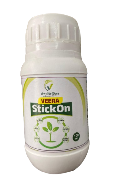 Veera Stick On