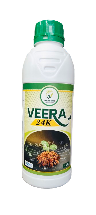 Veera 24K