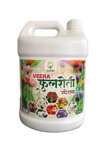 Veera Fulsheti Special