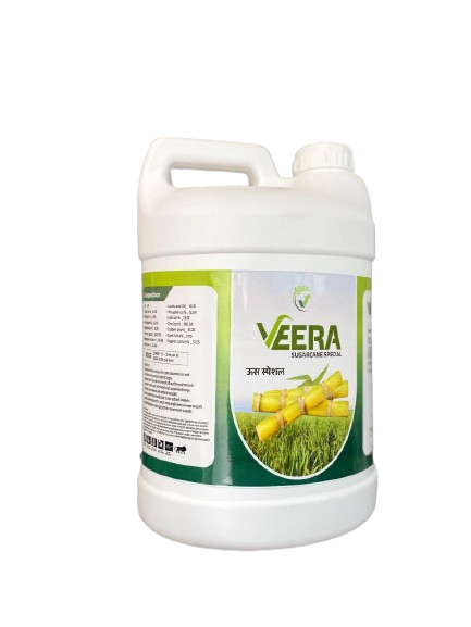 Veera  Sugarcane  Special 